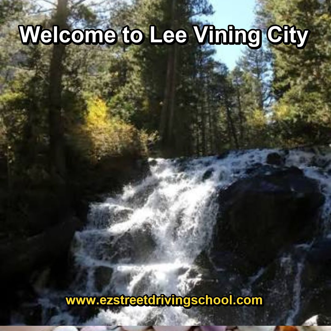 Driving Lessons in Lee Vining